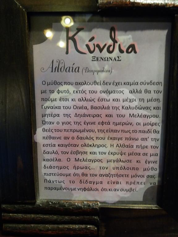 Kynthia Guesthouse Neochóri Exterior foto